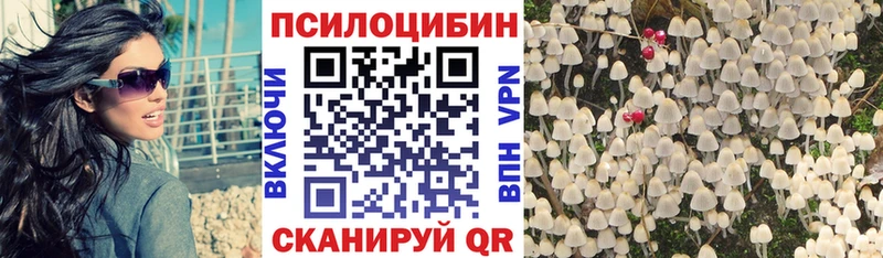Псилоцибиновые грибы MAGIC MUSHROOMS  купить наркотики цена  Суджа 